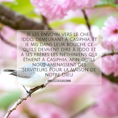 Picture 07 - Esdras 8:17 LSG - Je les envoyai vers le chef Iddo, demeurant à - Bible Verse Picture