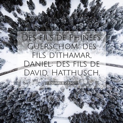 Picture 07 - Esdras 8:2 LSG - Des fils de Phinées, Guerschom; des fils - Bible Verse Picture