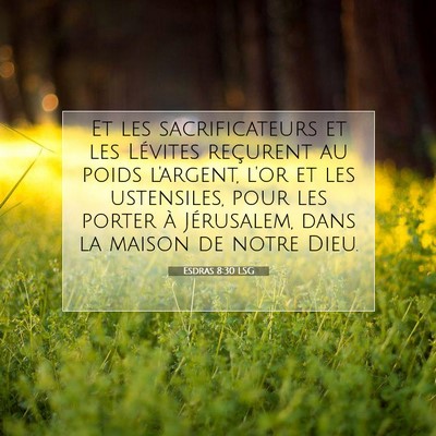 Picture 07 - Esdras 8:30 LSG - Et les sacrificateurs et les Lévites reçurent - Bible Verse Picture