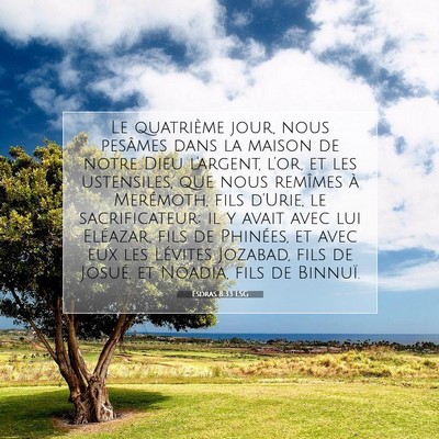 Picture 07 - Esdras 8:33 LSG - Le quatrième jour, nous pesâmes dans la maison - Bible Verse Picture