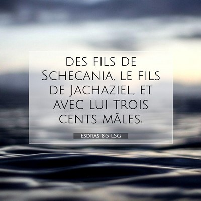 Picture 07 - Esdras 8:5 LSG - des fils de Schecania, le fils de Jachaziel, et - Bible Verse Picture