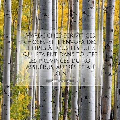 Picture 07 - Esther 9:20 LSG - Mardochée écrivit ces choses, et il envoya des - Bible Verse Picture