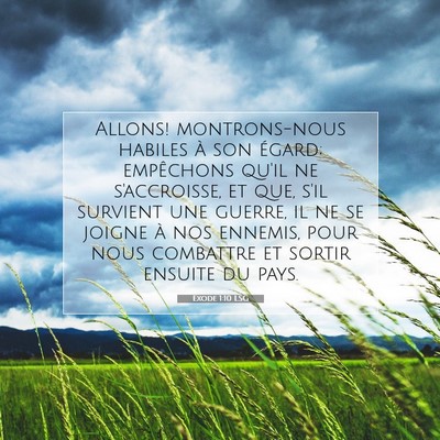 Picture 07 - Exode 1:10 LSG - Allons! montrons-nous habiles à son égard; - Bible Verse Picture
