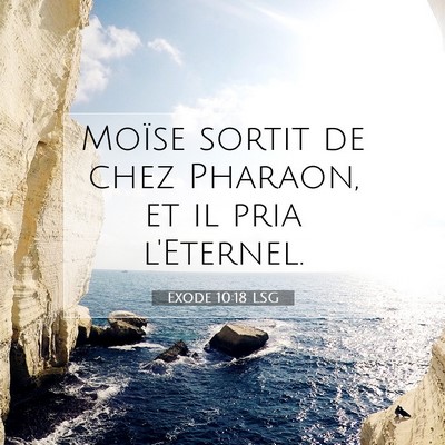 Picture 07 - Exode 10:18 LSG - Moïse sortit de chez Pharaon, et il pria - Bible Verse Picture