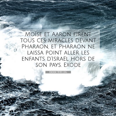 Picture 07 - Exode 11:10 LSG - Moïse et Aaron firent tous ces miracles devant - Bible Verse Picture
