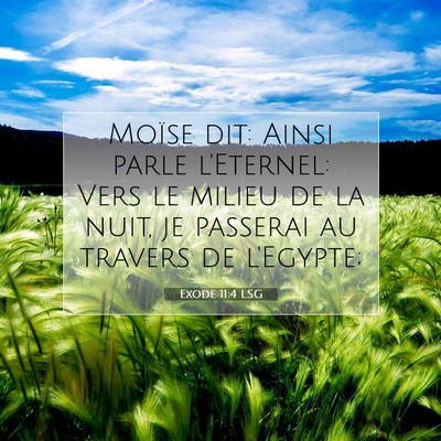 Picture 07 - Exode 11:4 LSG - Moïse dit: Ainsi parle l'Eternel: Vers le milieu - Bible Verse Picture