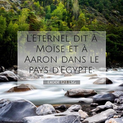 Picture 07 - Exode 12:1 LSG - L'Eternel dit à Moïse et à Aaron dans le pays - Bible Verse Picture