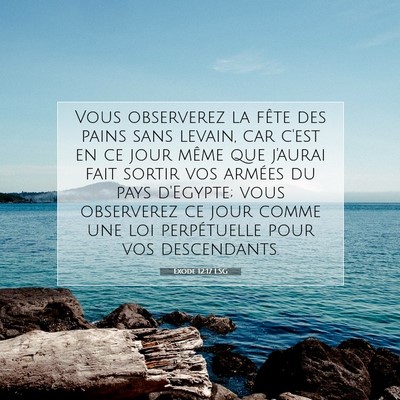 Picture 07 - Exode 12:17 LSG - Vous observerez la fête des pains sans levain, - Bible Verse Picture