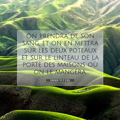 Picture 07 - Exode 12:7 LSG - On prendra de son sang, et on en mettra sur les - Bible Verse Picture