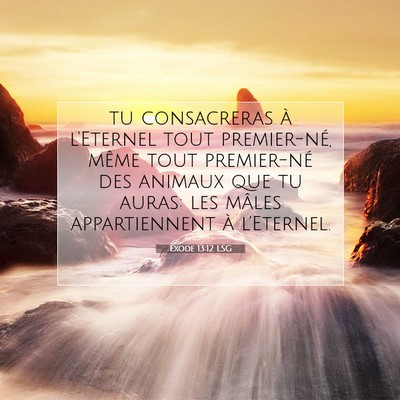 Picture 07 - Exode 13:12 LSG - tu consacreras à l'Eternel tout premier-né, - Bible Verse Picture