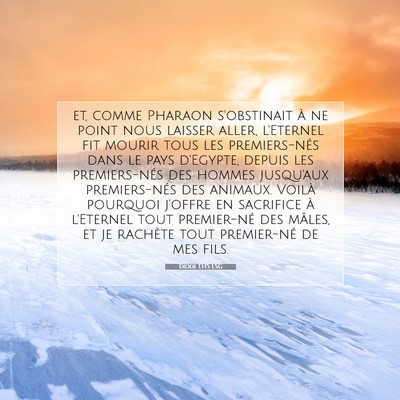 Picture 07 - Exode 13:15 LSG - et, comme Pharaon s'obstinait à ne point nous - Bible Verse Picture