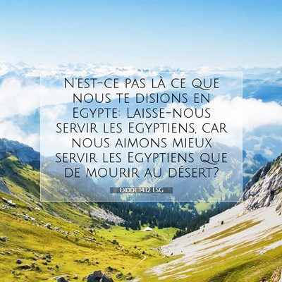 Picture 07 - Exode 14:12 LSG - N'est-ce pas là ce que nous te disions en - Bible Verse Picture