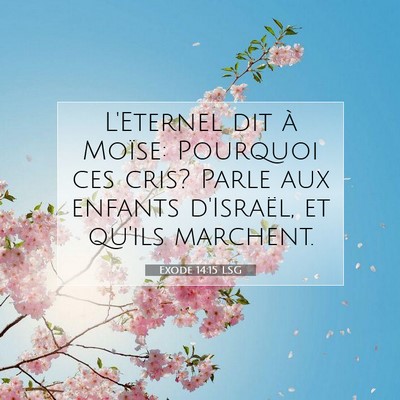 Picture 07 - Exode 14:15 LSG - L'Eternel dit à Moïse: Pourquoi ces cris? Parle - Bible Verse Picture