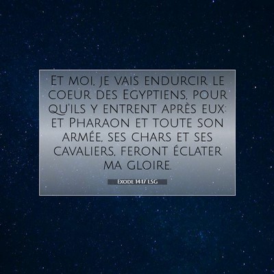 Picture 07 - Exode 14:17 LSG - Et moi, je vais endurcir le coeur des Egyptiens, - Bible Verse Picture