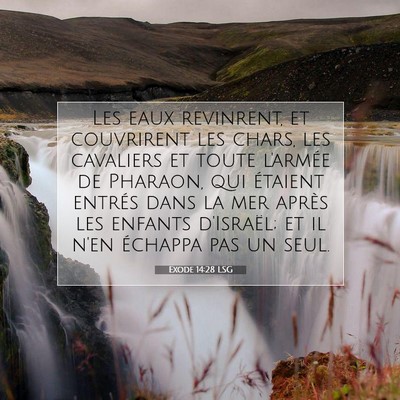 Picture 07 - Exode 14:28 LSG - Les eaux revinrent, et couvrirent les chars, les - Bible Verse Picture