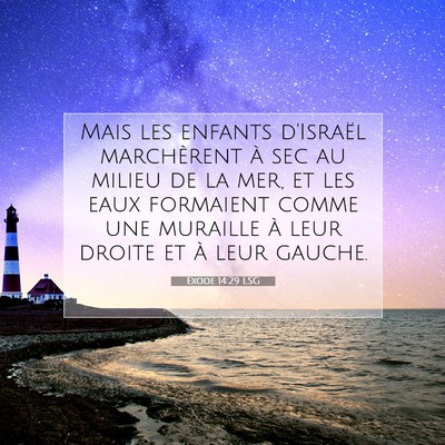 Picture 07 - Exode 14:29 LSG - Mais les enfants d'Israël marchèrent à sec au - Bible Verse Picture