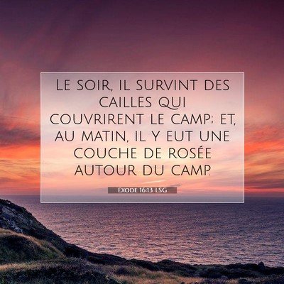 Picture 07 - Exode 16:13 LSG - Le soir, il survint des cailles qui couvrirent le - Bible Verse Picture