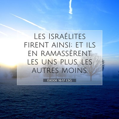 Picture 07 - Exode 16:17 LSG - Les Israélites firent ainsi; et ils en - Bible Verse Picture