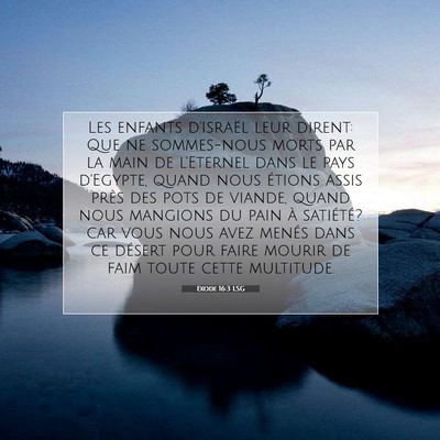 Picture 07 - Exode 16:3 LSG - Les enfants d'Israël leur dirent: Que ne - Bible Verse Picture