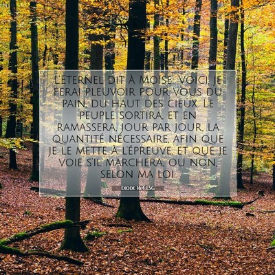 Picture 07 - Exode 16:4 LSG - L'Eternel dit à Moïse: Voici, je ferai pleuvoir - Bible Verse Picture