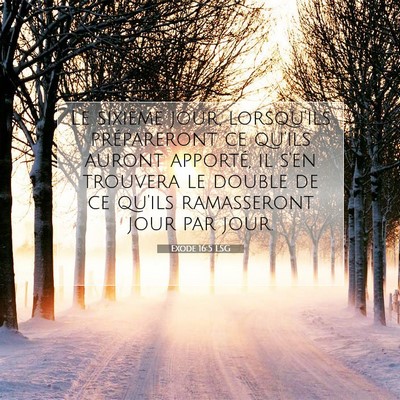 Picture 07 - Exode 16:5 LSG - Le sixième jour, lorsqu'ils prépareront ce - Bible Verse Picture