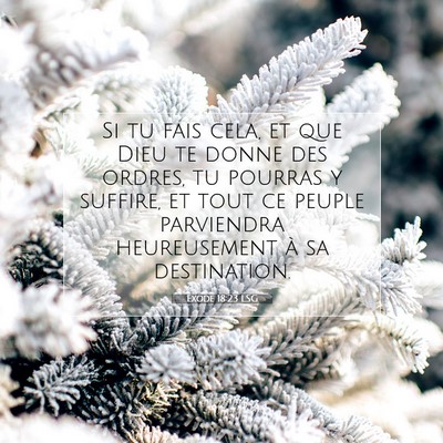 Picture 07 - Exode 18:23 LSG - Si tu fais cela, et que Dieu te donne des ordres, - Bible Verse Picture