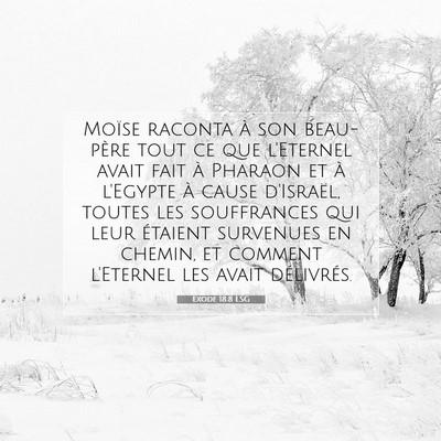 Picture 07 - Exode 18:8 LSG - Moïse raconta à son beau-père tout ce que - Bible Verse Picture
