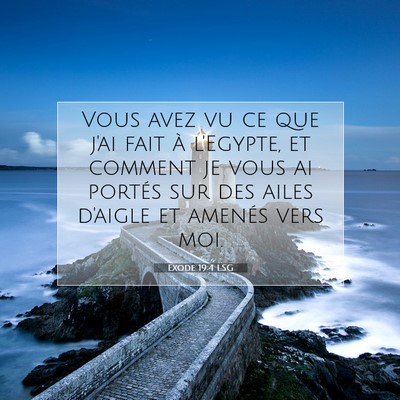 Picture 07 - Exode 19:4 LSG - Vous avez vu ce que j'ai fait à l'Egypte, et - Bible Verse Picture