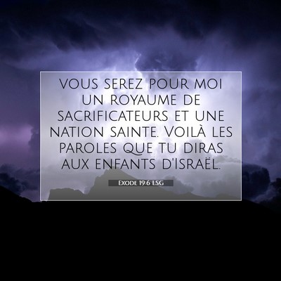 Picture 07 - Exode 19:6 LSG - vous serez pour moi un royaume de sacrificateurs - Bible Verse Picture