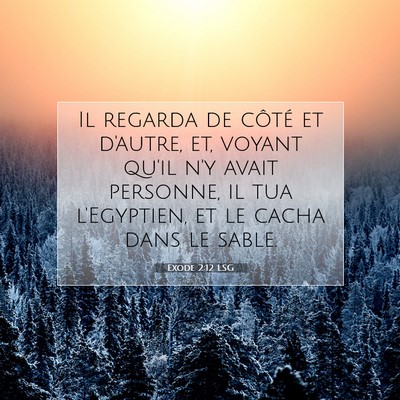 Picture 07 - Exode 2:12 LSG - Il regarda de côté et d'autre, et, voyant qu'il - Bible Verse Picture
