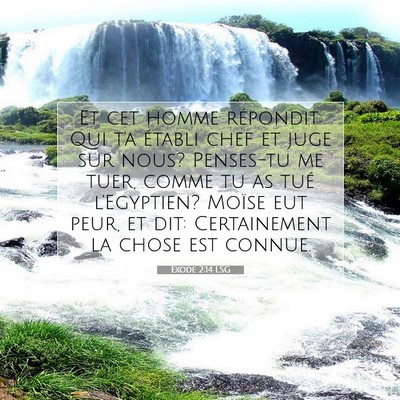 Picture 07 - Exode 2:14 LSG - Et cet homme répondit: Qui t'a établi chef et - Bible Verse Picture