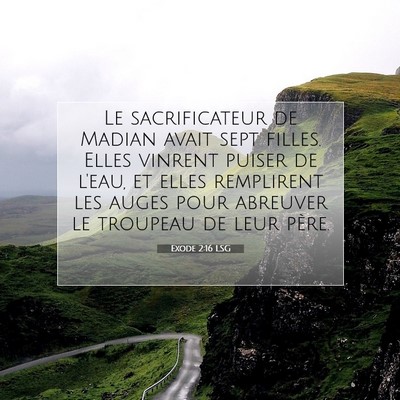 Picture 07 - Exode 2:16 LSG - Le sacrificateur de Madian avait sept filles. - Bible Verse Picture