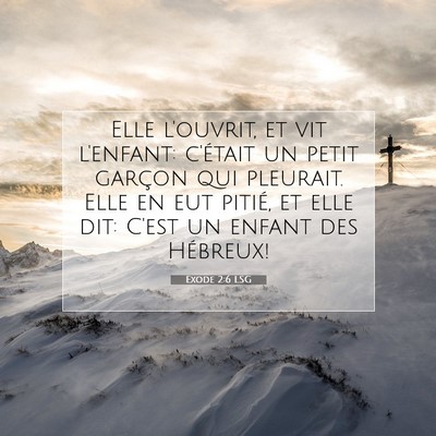 Picture 07 - Exode 2:6 LSG - Elle l'ouvrit, et vit l'enfant: c'était un petit - Bible Verse Picture