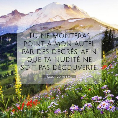 Picture 07 - Exode 20:26 LSG - Tu ne monteras point à mon autel par des - Bible Verse Picture