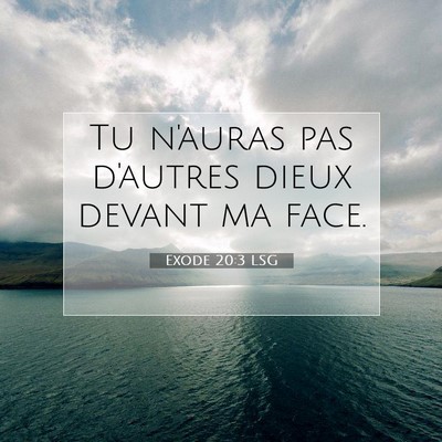 Picture 07 - Exode 20:3 LSG - Tu n'auras pas d'autres dieux devant ma - Bible Verse Picture