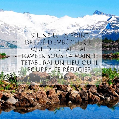 Picture 07 - Exode 21:13 LSG - S'il ne lui a point dressé d'embûches, et que - Bible Verse Picture