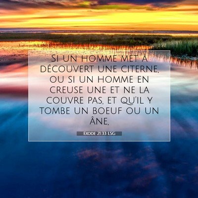 Picture 07 - Exode 21:33 LSG - Si un homme met à découvert une citerne, ou si - Bible Verse Picture