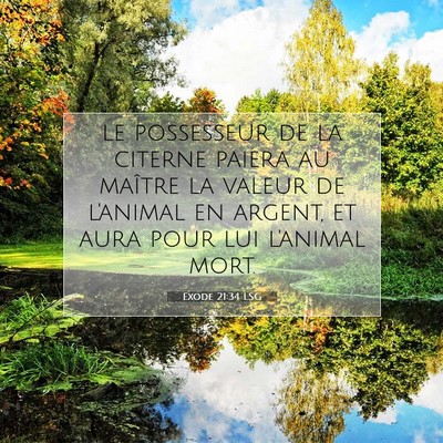 Picture 07 - Exode 21:34 LSG - le possesseur de la citerne paiera au maître la - Bible Verse Picture