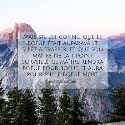 Picture 07 - Exode 21:36 LSG - Mais s'il est connu que le boeuf était - Bible Verse Picture