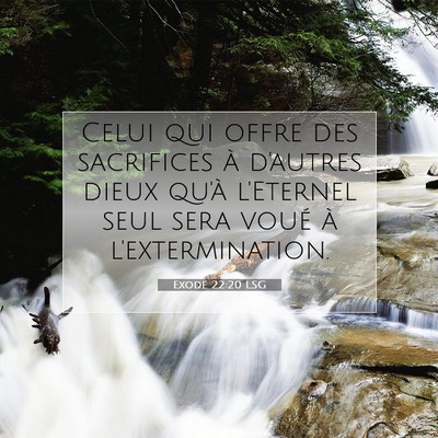 Picture 07 - Exode 22:20 LSG - Celui qui offre des sacrifices à d'autres dieux - Bible Verse Picture