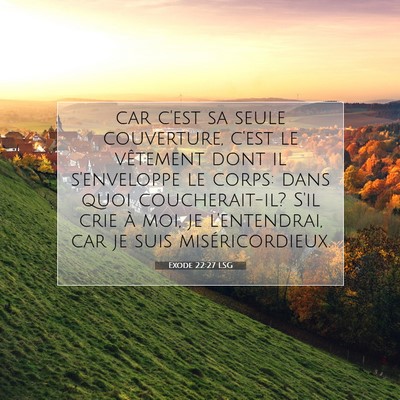 Picture 07 - Exode 22:27 LSG - car c'est sa seule couverture, c'est le vêtement - Bible Verse Picture