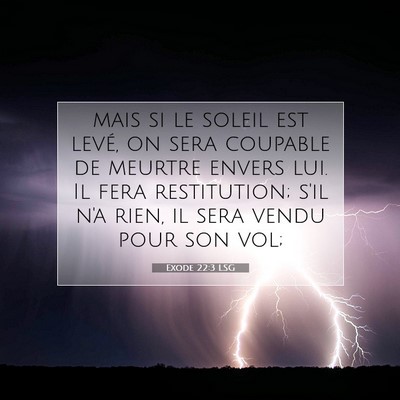 Picture 07 - Exode 22:3 LSG - mais si le soleil est levé, on sera coupable de - Bible Verse Picture