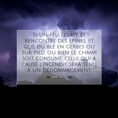Picture 07 - Exode 22:6 LSG - Si un feu éclate et rencontre des épines, et - Bible Verse Picture