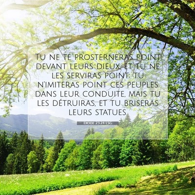 Picture 07 - Exode 23:24 LSG - Tu ne te prosterneras point devant leurs dieux, - Bible Verse Picture