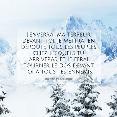 Picture 07 - Exode 23:27 LSG - J'enverrai ma terreur devant toi, je mettrai en - Bible Verse Picture