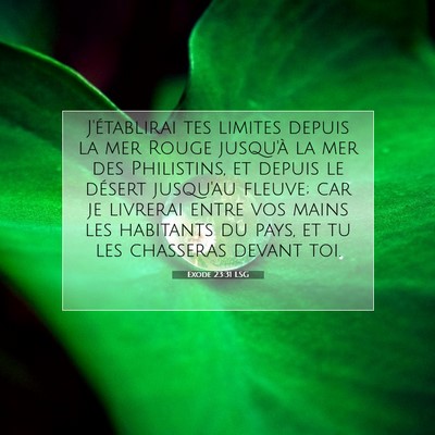 Picture 07 - Exode 23:31 LSG - J'établirai tes limites depuis la mer Rouge - Bible Verse Picture