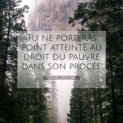 Picture 07 - Exode 23:6 LSG - Tu ne porteras point atteinte au droit du pauvre - Bible Verse Picture