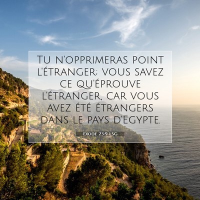 Picture 07 - Exode 23:9 LSG - Tu n'opprimeras point l'étranger; vous savez ce - Bible Verse Picture