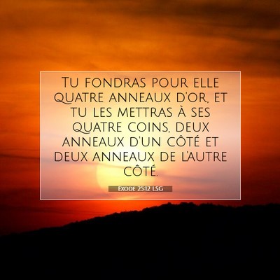Picture 07 - Exode 25:12 LSG - Tu fondras pour elle quatre anneaux d'or, et tu - Bible Verse Picture