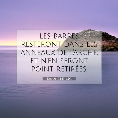 Picture 07 - Exode 25:15 LSG - les barres resteront dans les anneaux de l'arche, - Bible Verse Picture